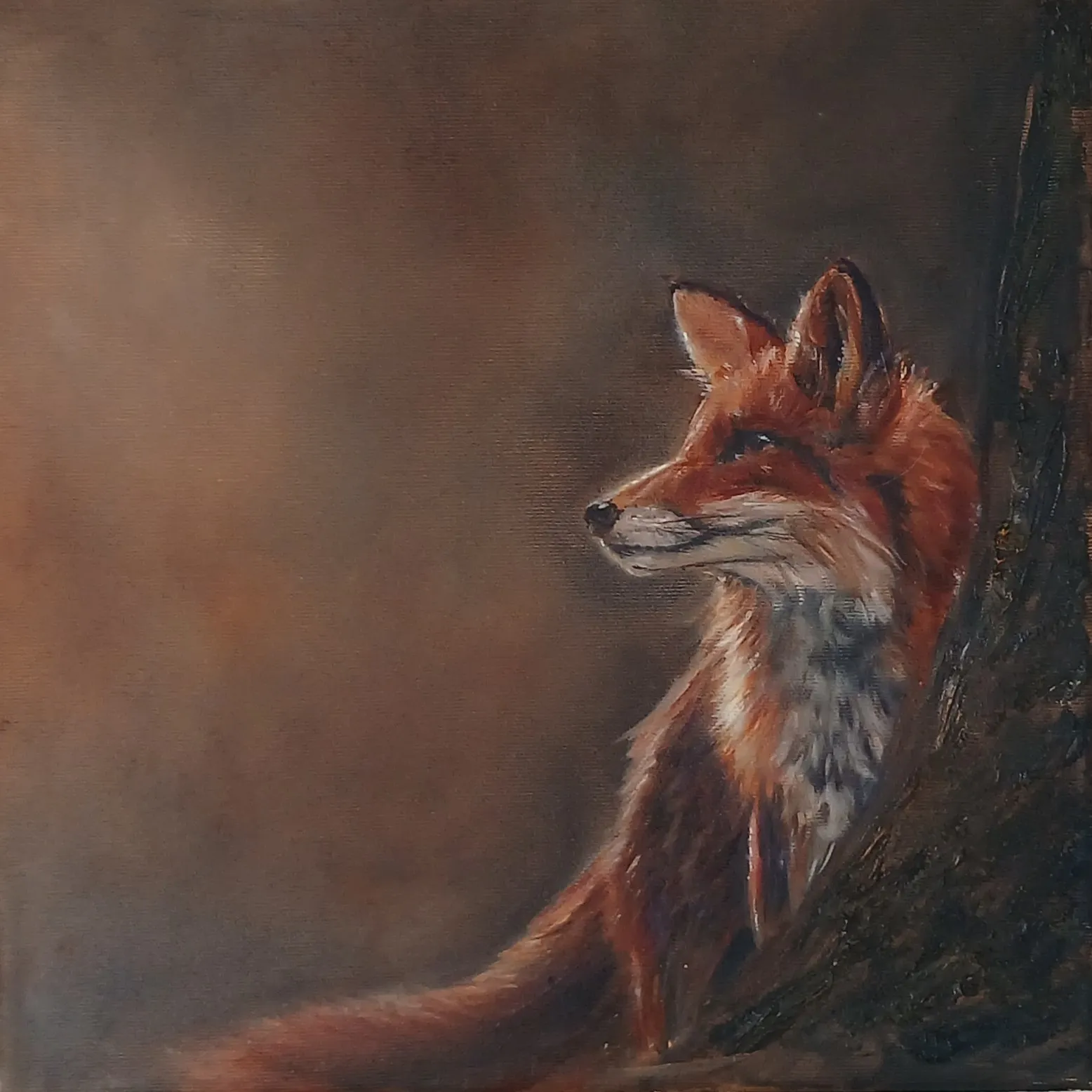 A screenshot of Mr Fox