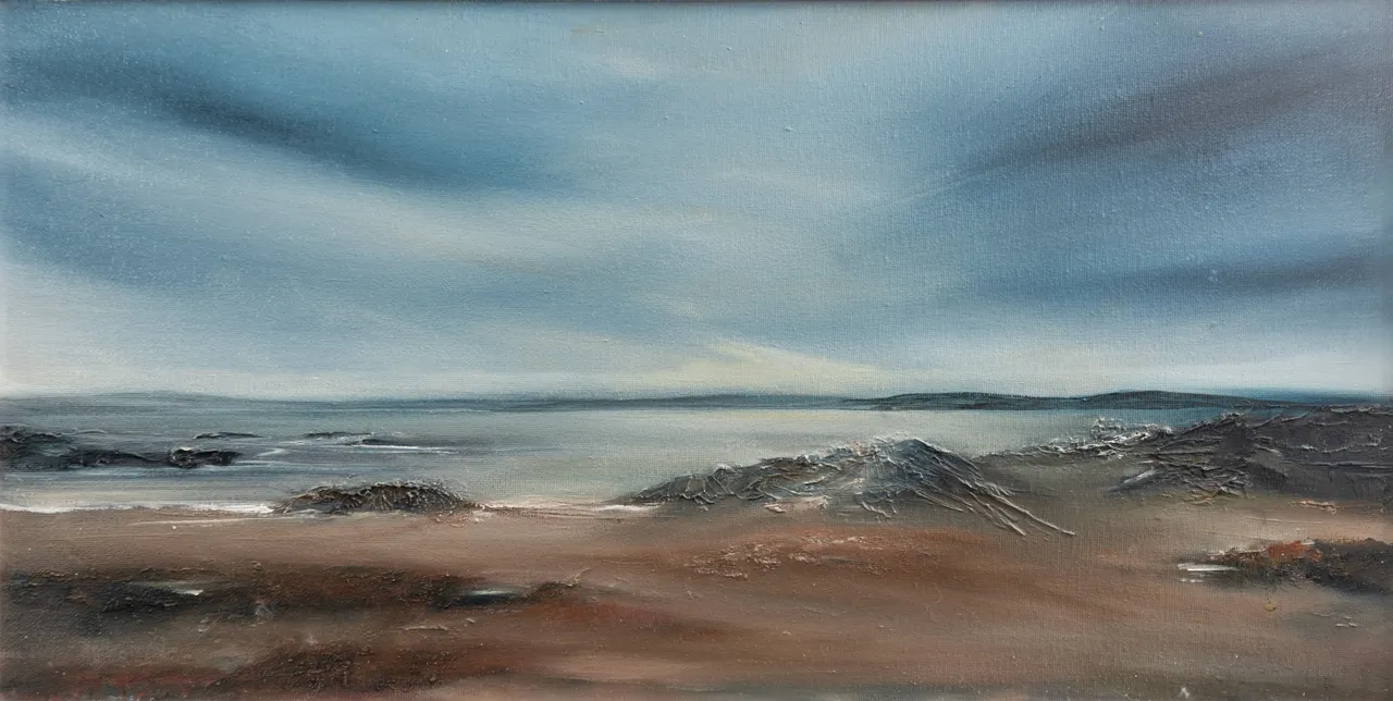 A screenshot of Trá an Doilin - Carraroe