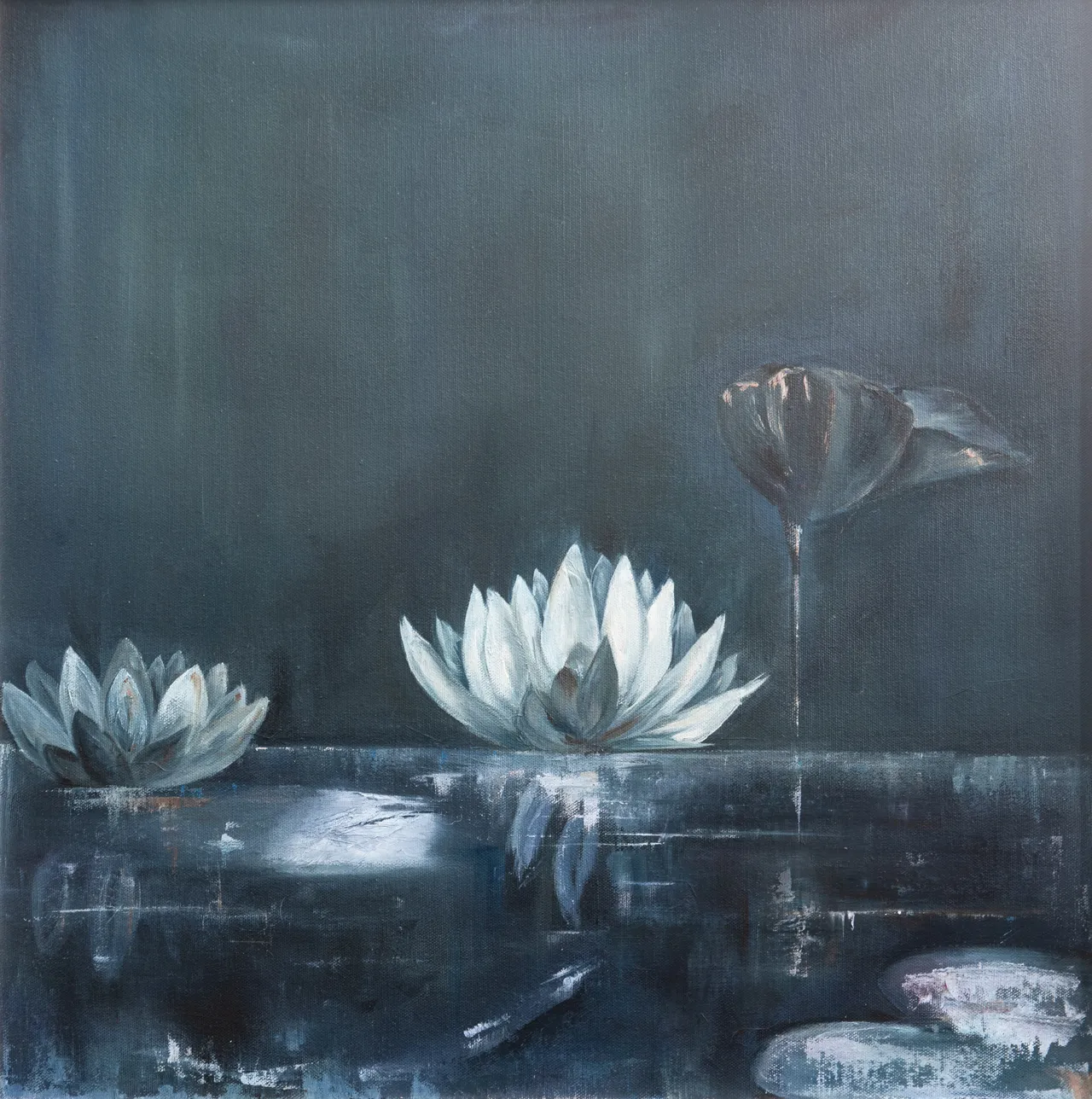 A screenshot of Waterlilies at Night